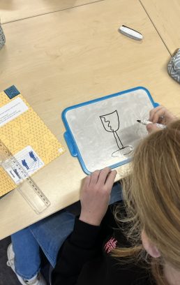 Mind Mystery op scholen bezoek