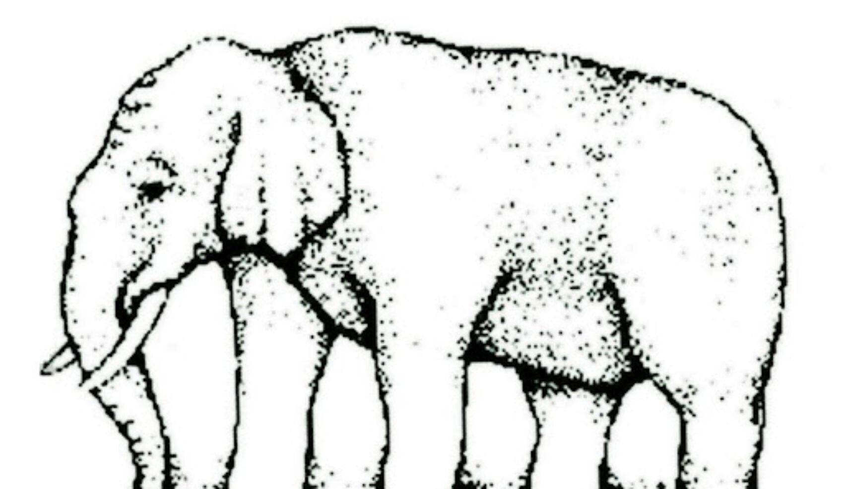 Shepard Elephant | Mind Mystery