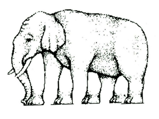 Shepard Elephant | Mind Mystery