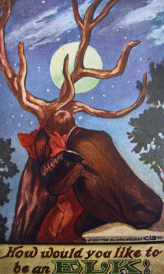 How would you like to be an elk? | Mind Mystery